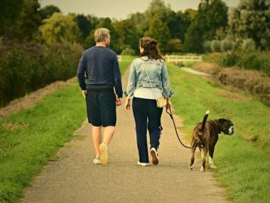 4 Benefits Of Walking With Your Dog In The Morning