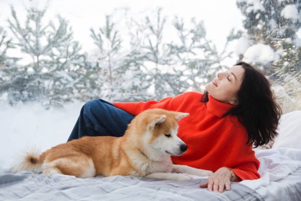Indoor Activities For Pets During Winter
