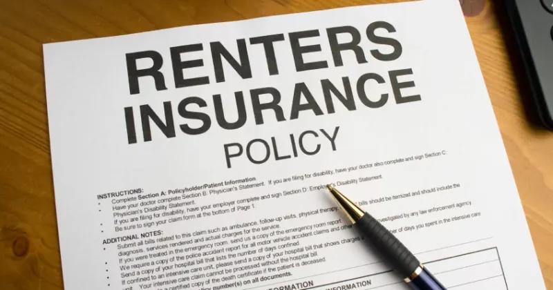 Navigating the Maze of Rental Insurance: A Comprehensive Guide